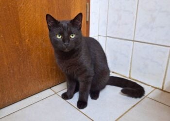 Terra Mater Tierheim