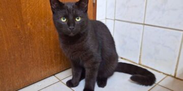 Terra Mater Tierheim