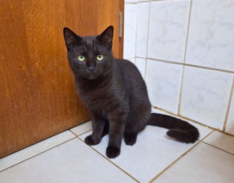 Terra Mater Tierheim