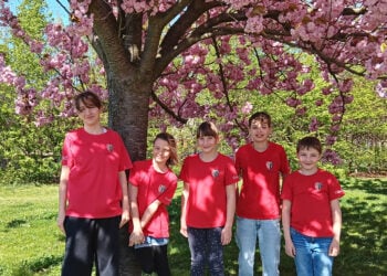 Bild: ESV Forst 1990 e.V.