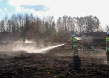 Brand auf dem alten Flugplatzgelände in Cottbus; Foto: Blaulichtreport Lausitz