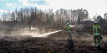 Brand auf dem alten Flugplatzgelände in Cottbus; Foto: Blaulichtreport Lausitz