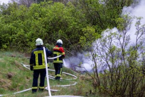 Gerissene Stromleitung löst Waldbrand in Drebkau aus