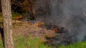Brandserie zwischen Cottbus und Vetschau am Sonntagnachmittag