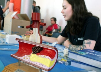 SKN / Steffen Rasche