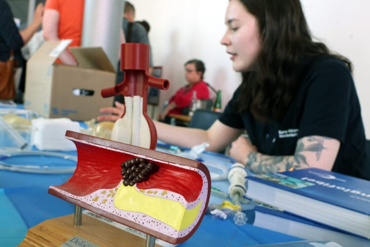 SKN / Steffen Rasche