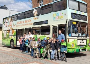 Kommunale Kinder- & Jugendhilfe Stadt Cottbus