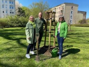 Zitterpappel als Baum des Jahres 2026 in Forst gepflanzt
