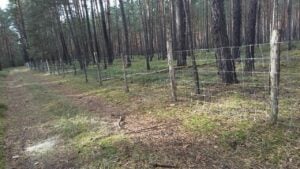 ASP-Schutzzaun wird abgebaut: OSL gibt Material kostenlos ab