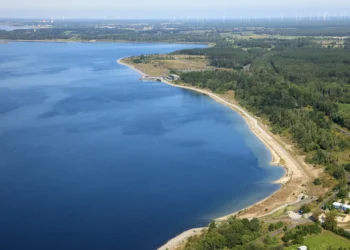 Sedlitzer See Nordostböschung; Foto: LMBV