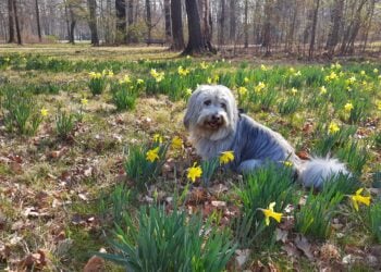 Bild: Landkreis OSL/Andreas Giebitz