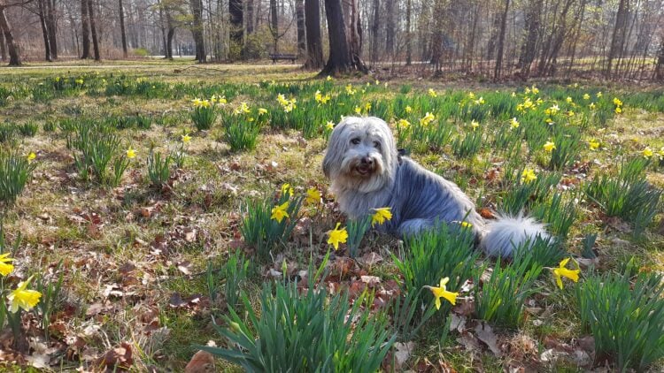 Bild: Landkreis OSL/Andreas Giebitz