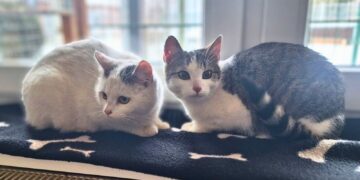 Terra Mater Tierheim 