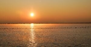 Wie der Cottbuser Ostsee die Stadt an die IW-Spitze hebt