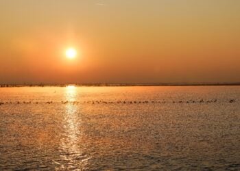 Cottbuser Ostsee; Foto: Thomas Kung