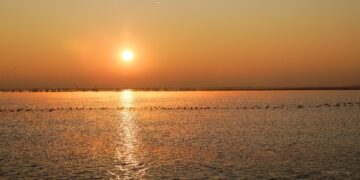 Cottbuser Ostsee; Foto: Thomas Kung