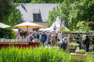 Gartenfestival Branitz lockt über 10.000 Besucher an neuen Standort