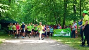 Jubiläumslauf im Branitzer Park: Pyramidenlauf startet zum 10. Mal