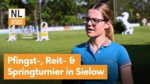 54. Pfingstturnier in Sielow: Reitsport-Highlight am Wochenende