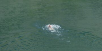 Symbolbild: Swimmer