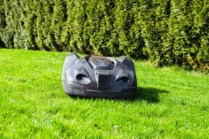 Kleintier-Schutz: Cottbus verbietet nächtlichen Betrieb von Mährobotern