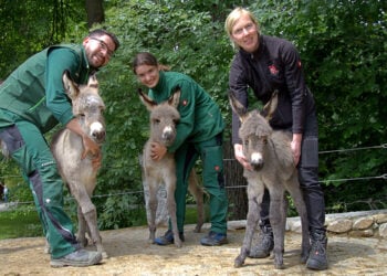 Tierpark Görlitz
