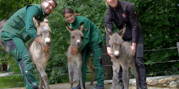 Tierpark Görlitz 