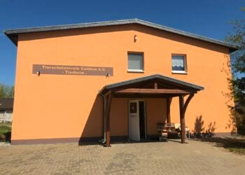 Tierheim Cottbus