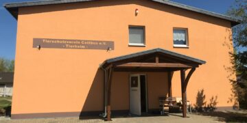Tierheim Cottbus