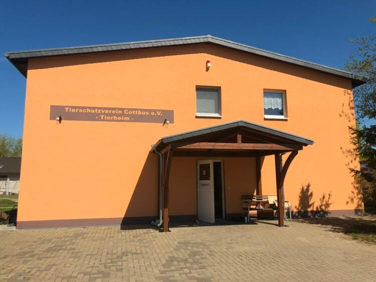 Tierheim Cottbus