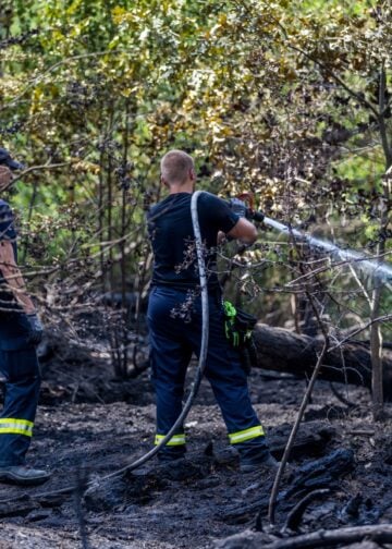 Feuerwehr löscht an der Waldkante bei Drochow