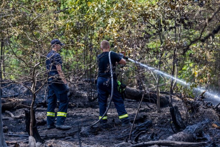 Feuerwehr löscht an der Waldkante bei Drochow