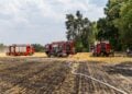 Verbrannte Fläche nach dem Feldbrand bei Drochow