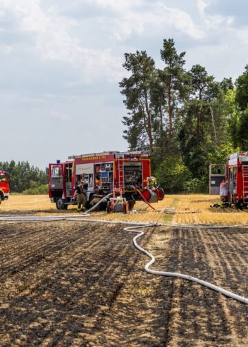 Verbrannte Fläche nach dem Feldbrand bei Drochow