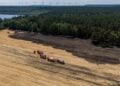 Luftaufnahme der Brandfläche bei Drochow