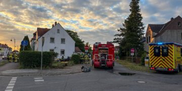 Vivian Opitz / Blaulichtreport Lausitz