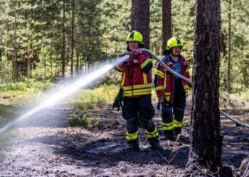 Feuerwehrmann löscht den Waldbodenbrand bei Alt-Schadow