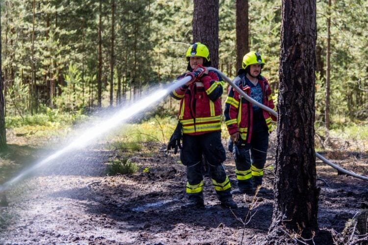 Feuerwehrmann löscht den Waldbodenbrand bei Alt-Schadow