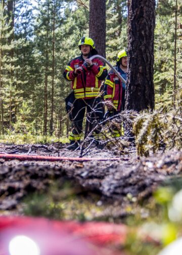 Verbrannter Waldboden bei Alt-Schadow