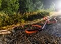 Verbrannte Fläche in der Gohrischheide