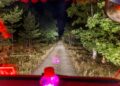 Rauch und Glut beim Waldbrand in der Gohrischheide