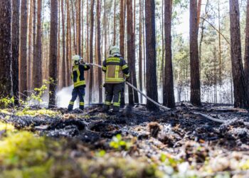 Feuerwehr im verrauchten Wald bei Halbe