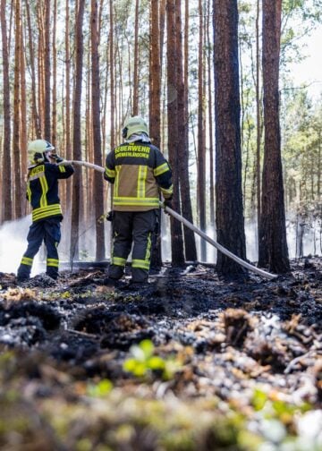 Feuerwehr im verrauchten Wald bei Halbe