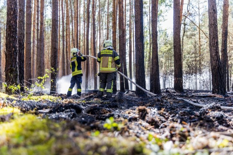 Feuerwehr im verrauchten Wald bei Halbe