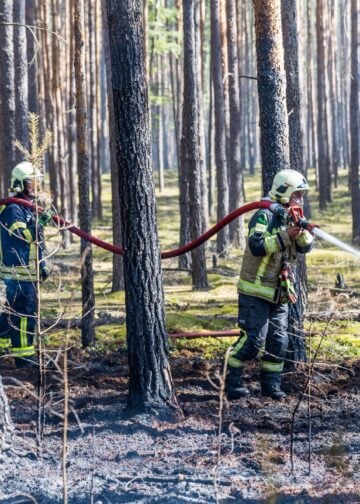 Einsatzkräfte am Waldbrand in Halbe