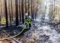 Feuerwehrmann löscht den Waldboden in Halbe