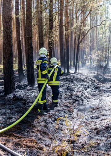 Feuerwehrmann löscht den Waldboden in Halbe