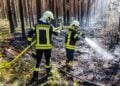 Feuerwehrleute im Waldbrandeinsatz bei Halbe