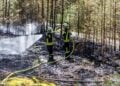 Verbrannter Waldboden bei Halbe