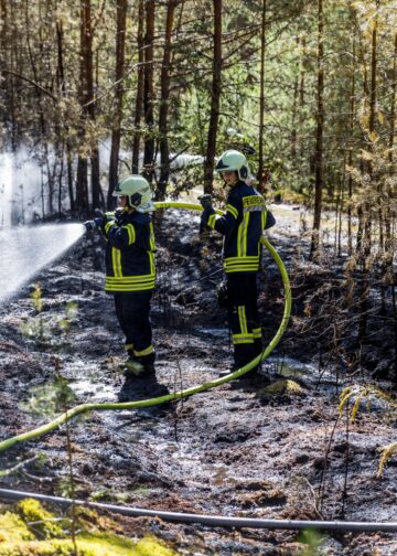 Verbrannter Waldboden bei Halbe